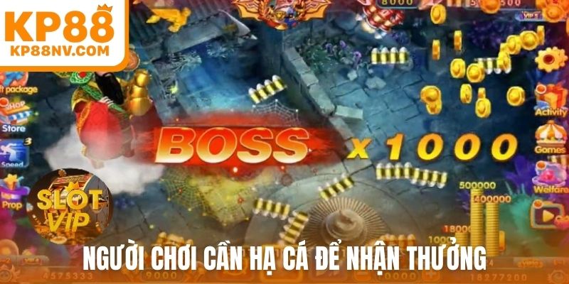 Người chơi cần hạ cá để nhận thưởng